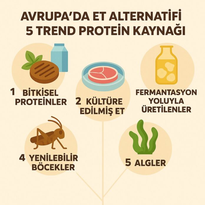 Avrupa'da Et Alternatifi 5 Trend Protein Kaynağı Avrupa'da Et Alternatifi 5 Trend Protein Kaynağı