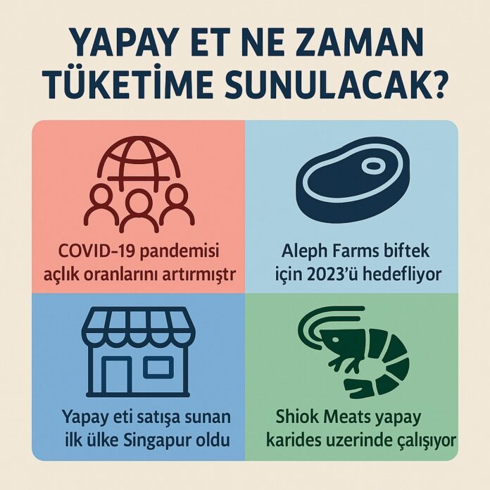 Yapay Et Ne Zaman Tüketime Sunulacak