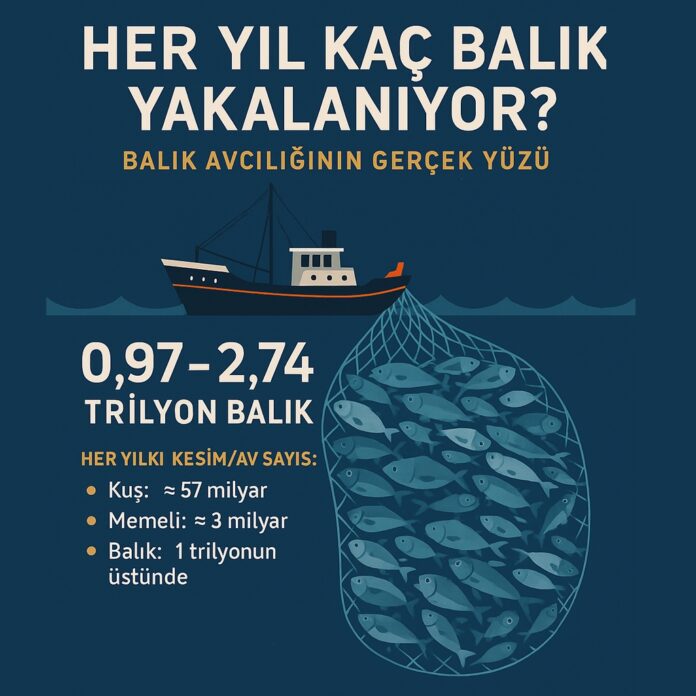Her Yıl Kaç Balık Yakalanıyor