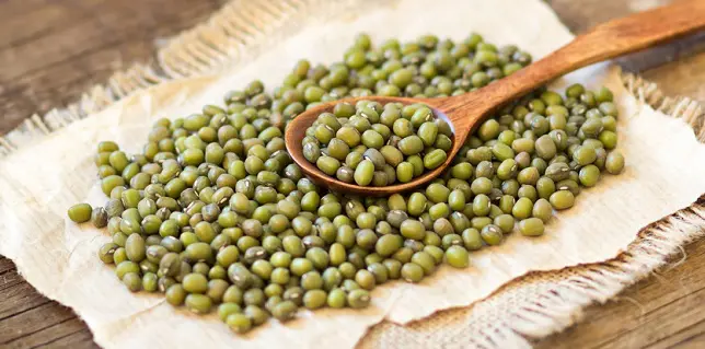 Mung Fasulyesi Nedir