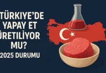 Türkiye’de Yapay Et Üretiliyor mu? 2025 Durumu Türkiye'de Yapay Et Üretiliyor mu