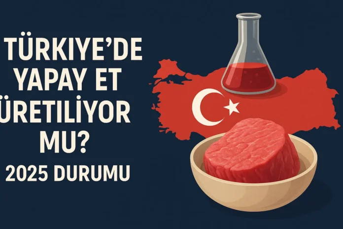 Türkiye'de Yapay Et Üretiliyor mu Türkiye'de Yapay Et Üretiliyor mu