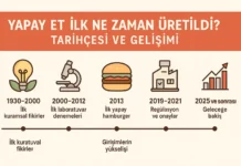 Yapay Et İlk Ne Zaman Üretildi? 1930’dan Günümüze Yapay Et İlk Ne Zaman Üretildi