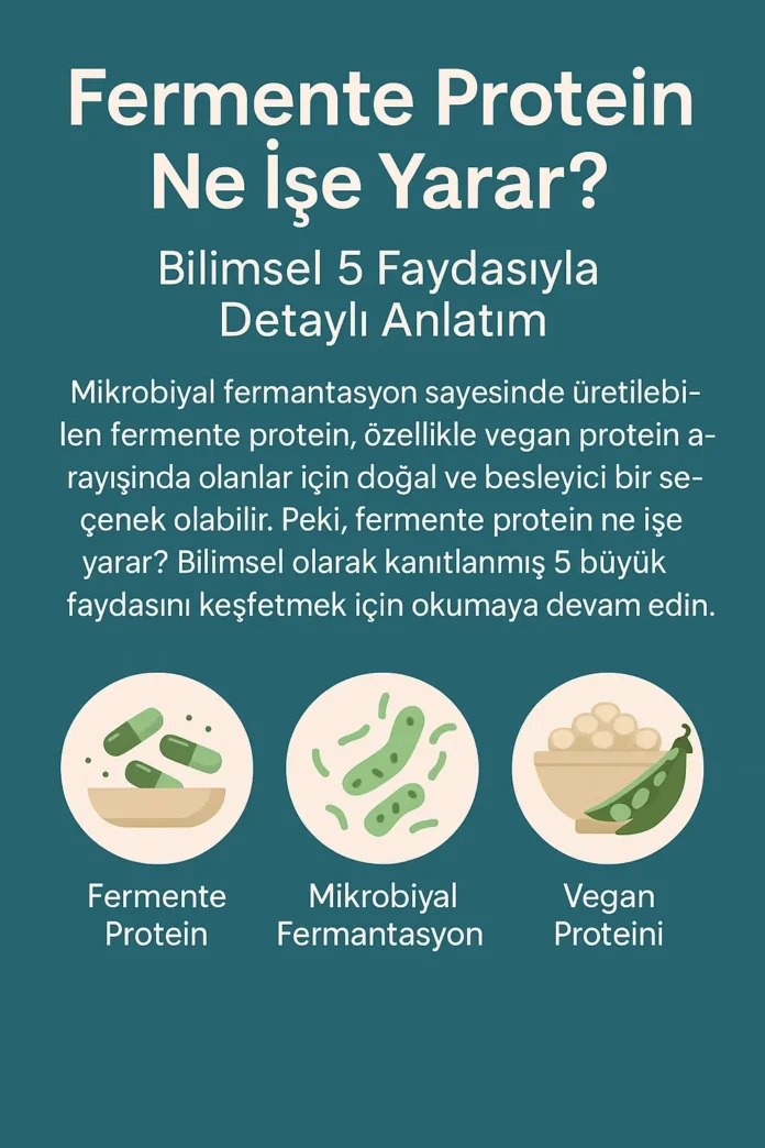 fermente protein ne işe yarar fermente protein ne işe yarar